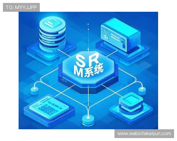 开云电子平台：优化供应链管理实现企业运营效率提升的关键平台