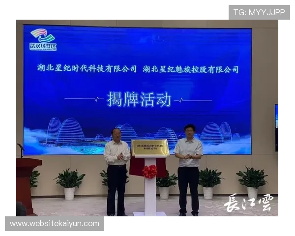 开云中国有限公司官网品牌历史与发展历程深度剖析