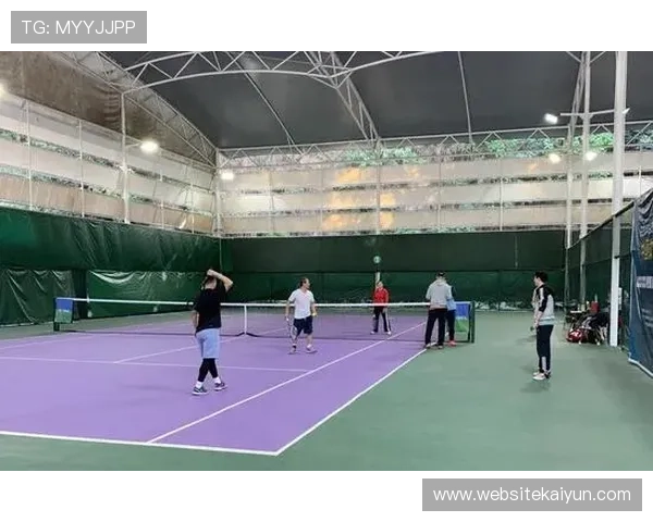 开云体育网球拍的适用人群分析，帮助不同水平玩家找到理想装备