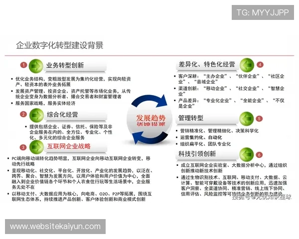 开云网中国：开云集团在中国市场的数字化转型与未来增长潜力分析